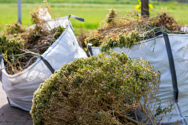 Best Commercial Cleanout Services  in Red Bay, AL